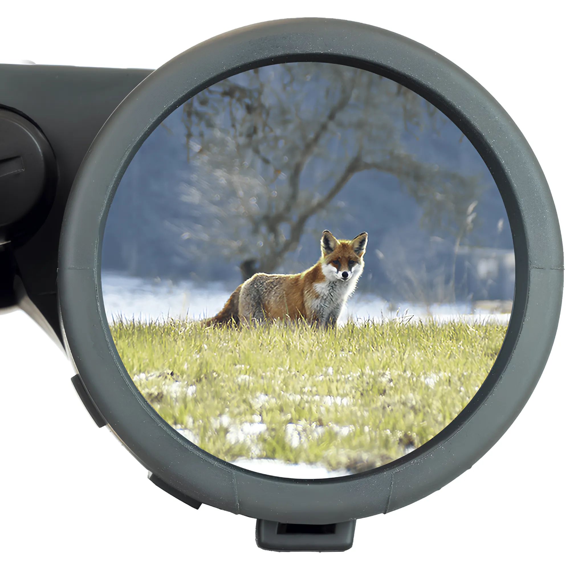 STEINER Observer 8x42 Fernglas mit hohem Kontrast STEINER Observer 8x42 Fernglas mit hohem Kontrast